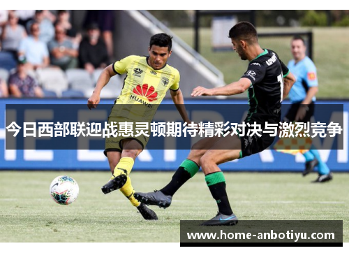 今日西部联迎战惠灵顿期待精彩对决与激烈竞争
